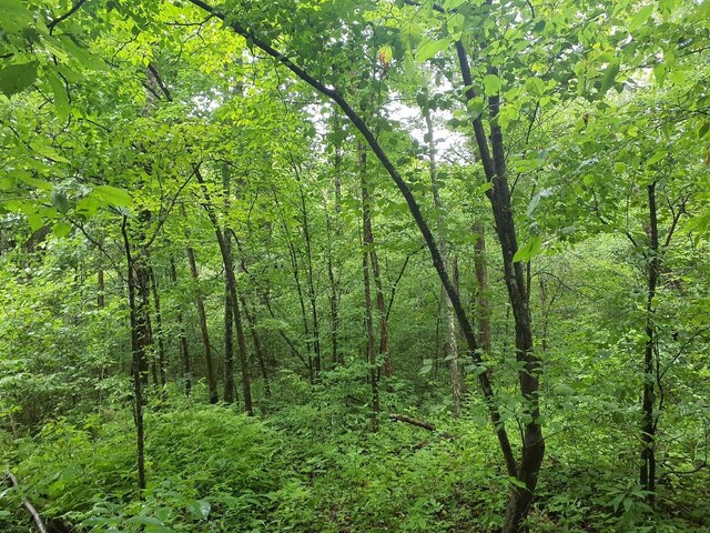 0 Sherwood Rd, Sherwood, TN 37376 - photo 7