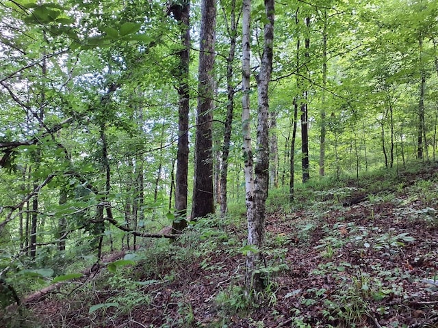 0 Sherwood Rd, Sherwood, TN 37376 - photo 2