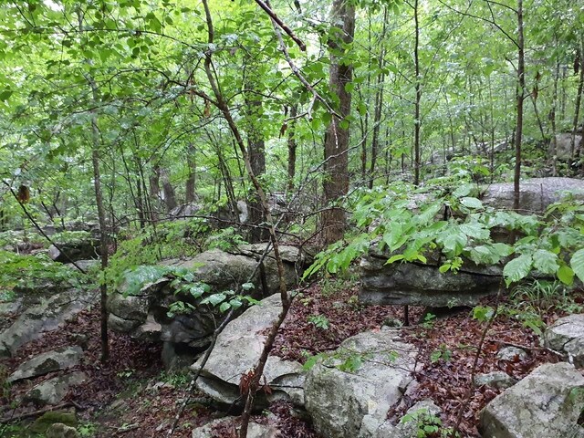 0 Sherwood Rd, Sherwood, TN 37376 - photo 13
