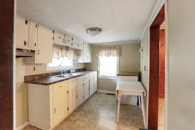 kitchen featuring ornamental molding and sink