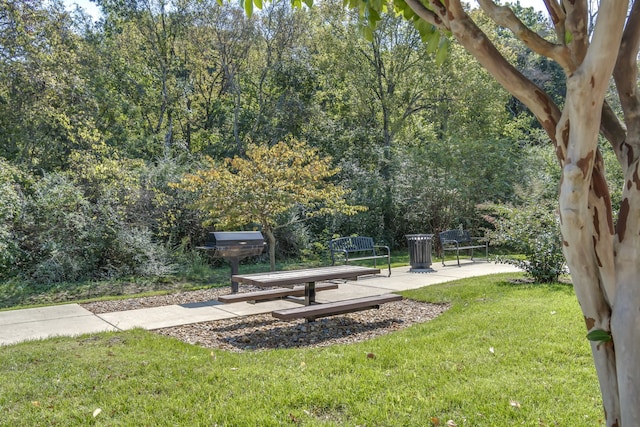 view of community featuring a patio and a lawn