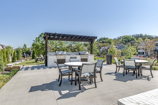 view of patio / terrace with area for grilling and grilling area