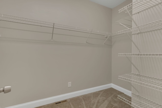 spacious closet with carpet floors