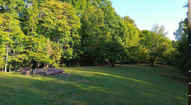 view of yard with a view of trees