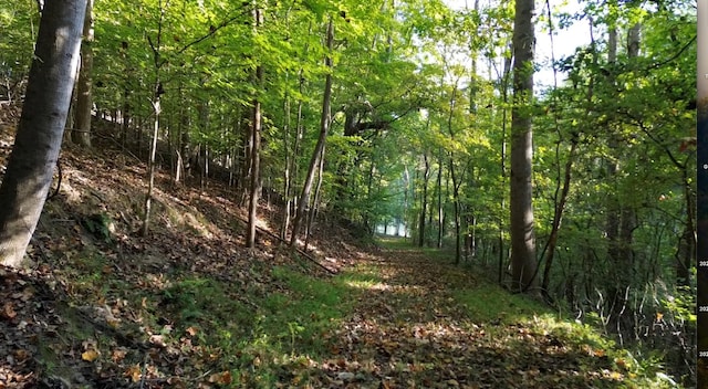 view of nature featuring a forest view