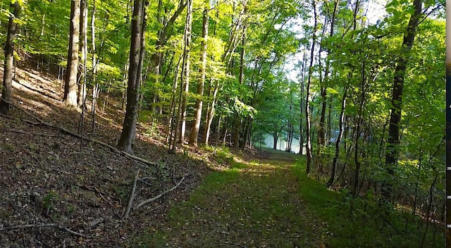 view of local wilderness with a view of trees