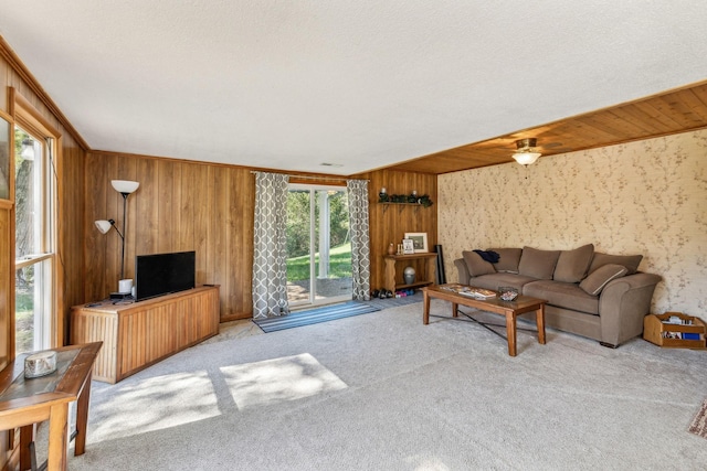 carpeted living room featuring wood walls