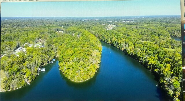 birds eye view of property featuring a view of trees and a water view