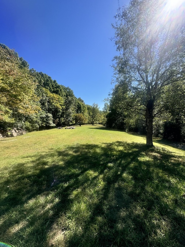 view of yard with a forest view