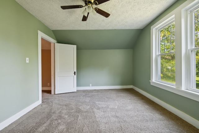 additional living space featuring a textured ceiling, lofted ceiling, and plenty of natural light