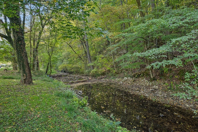 view of landscape