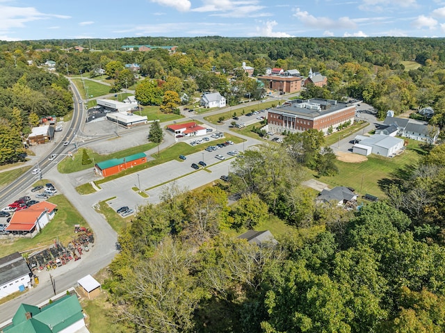 bird's eye view