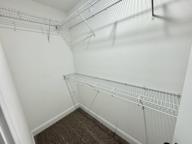 walk in closet with carpet