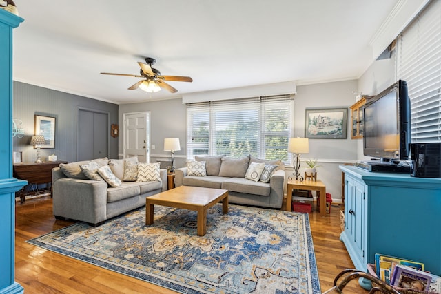 living room with ceiling fan, crown molding, and dark wood-type flooring