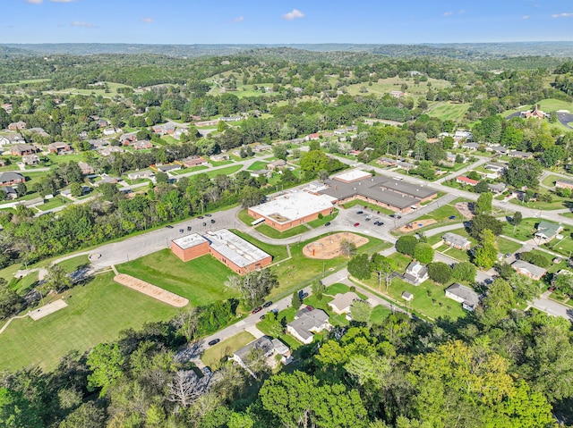 bird's eye view