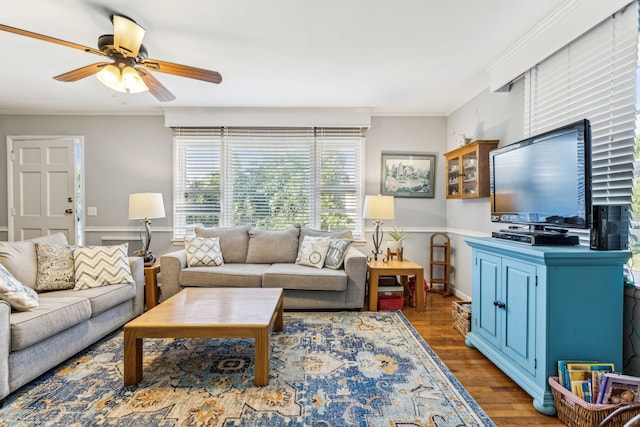 living room with ornamental molding, ceiling fan, and dark hardwood / wood-style floors