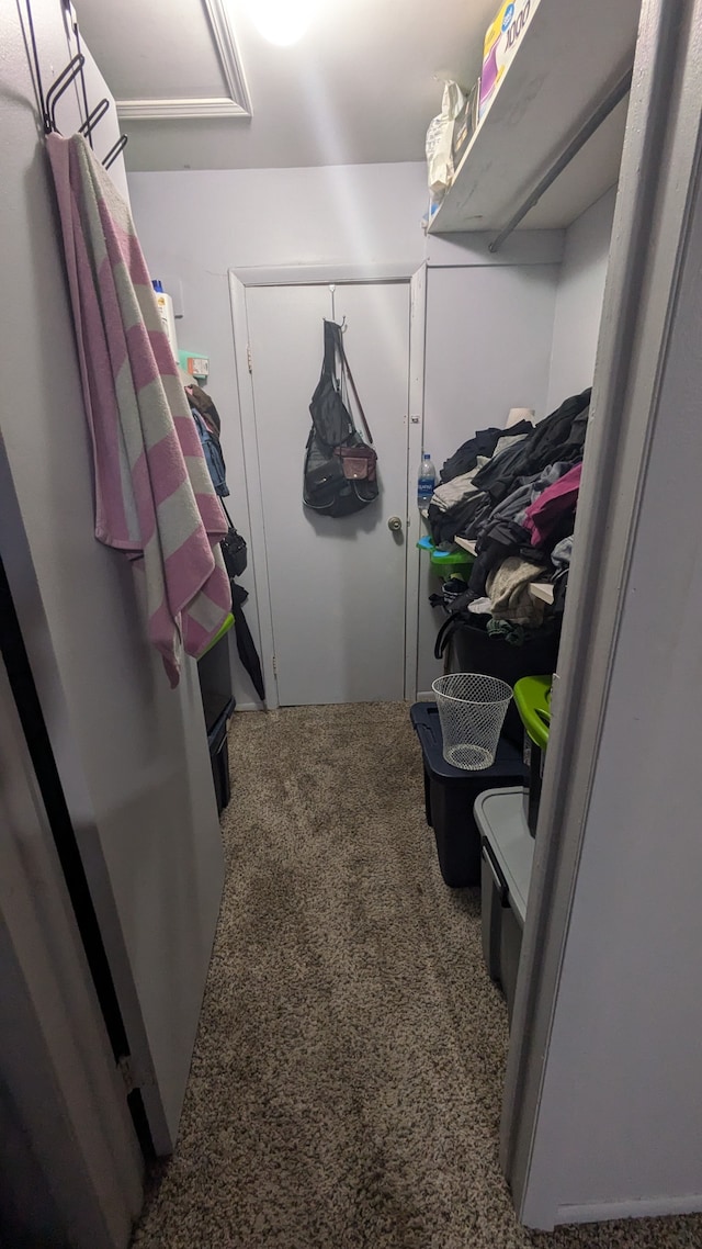 spacious closet featuring carpet floors