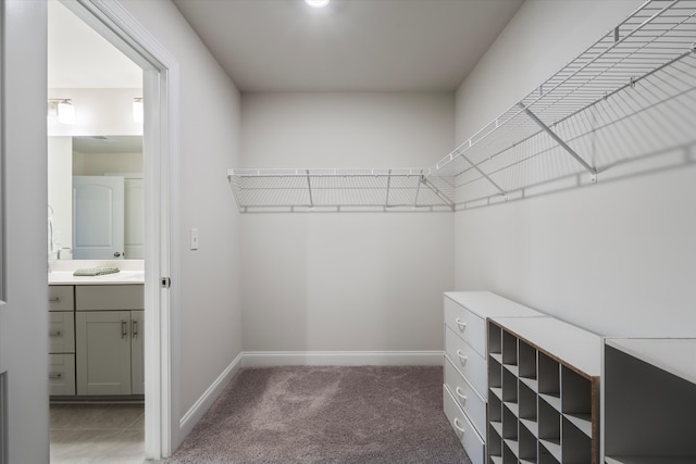 spacious closet with dark colored carpet