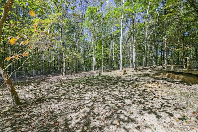 view of local wilderness