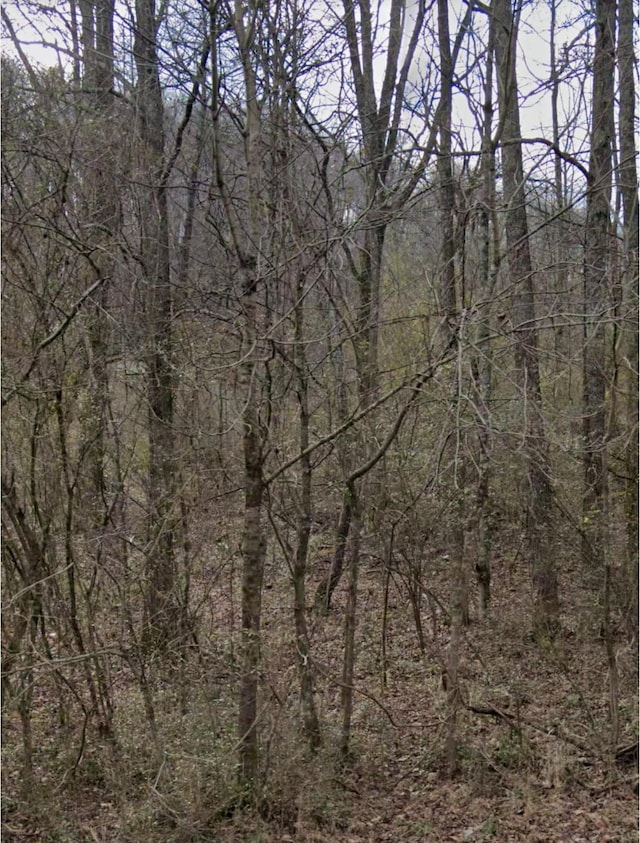 4957 Tranham Rd, Whites Creek, TN 37189
