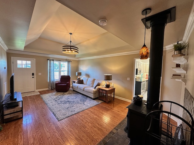 living room with ornamental molding, a tray ceiling, and wood-type flooring