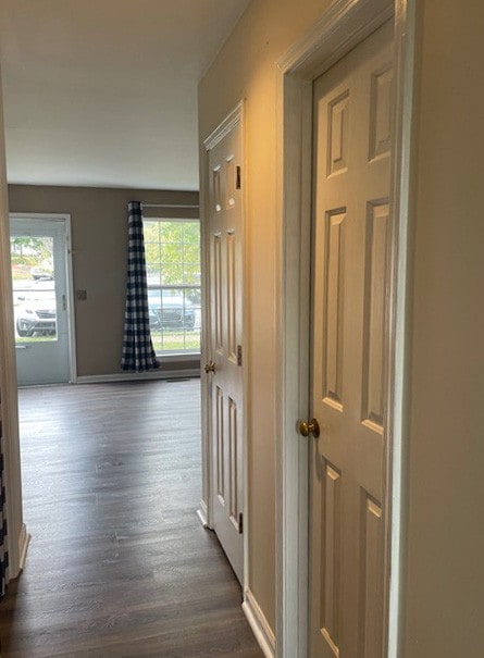 hall featuring dark hardwood / wood-style floors and a healthy amount of sunlight