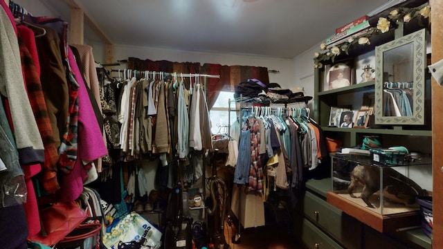 view of walk in closet