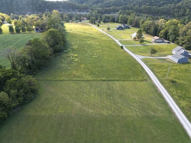 0 Rockhouse Trace Rd, Albany KY, 42602 land for sale