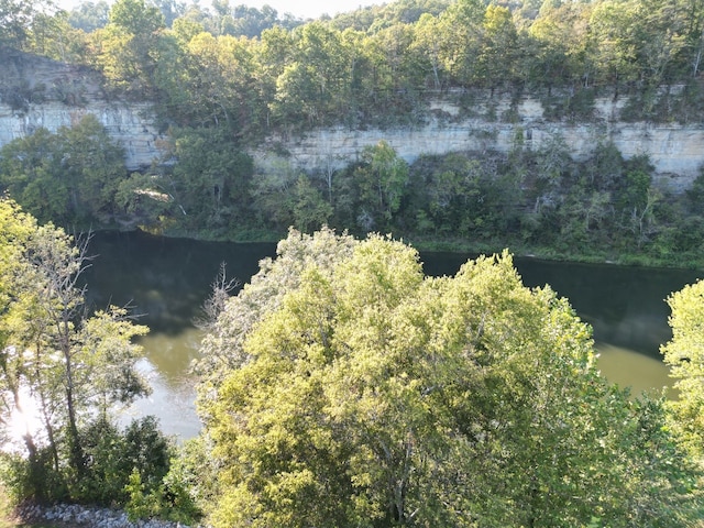 0 Rockhouse Trace Rd, Albany, KY 42602