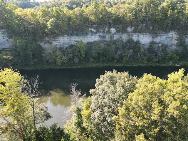 0 Rockhouse Trace Rd, Albany, KY 42602