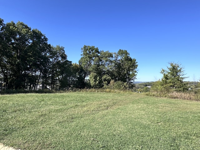 8529 Blanton Ct, College Grove TN, 37046 land for sale