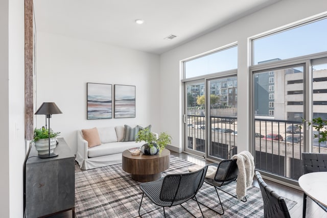 living room featuring hardwood / wood-style floors