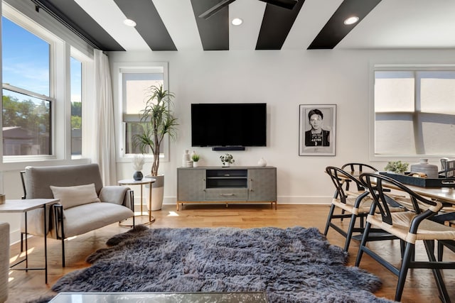 living room featuring light hardwood / wood-style flooring