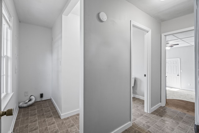 laundry area featuring hardwood / wood-style floors and ceiling fan