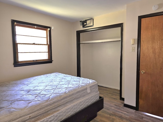 bedroom with dark hardwood / wood-style floors and a closet