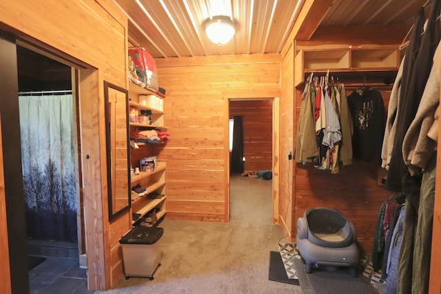 spacious closet with carpet floors