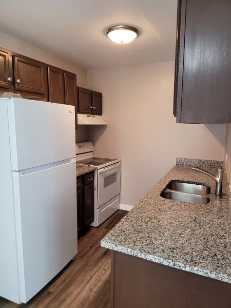 kitchen featuring dark brown cabinetry, dark hardwood / wood-style floors, sink, and white appliances