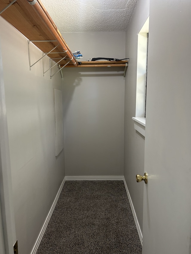 walk in closet with carpet