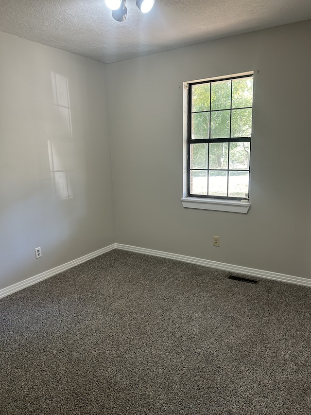 empty room featuring a textured ceiling and carpet