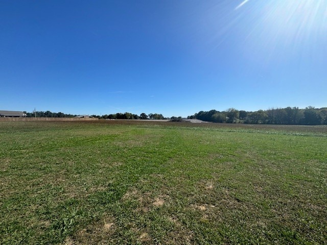 view of yard featuring a rural view