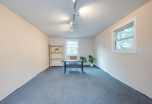 unfurnished office with track lighting, plenty of natural light, and carpet floors