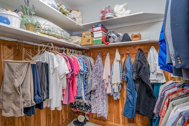 view of walk in closet