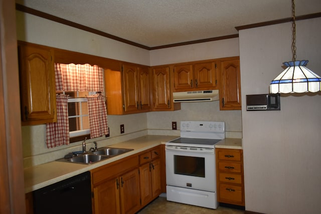 kitchen with sink, black dishwasher, white electric stove, crown molding, and a textured ceiling