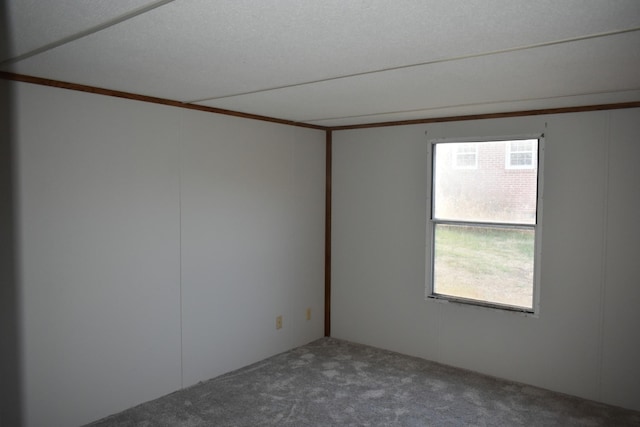 carpeted spare room with a healthy amount of sunlight