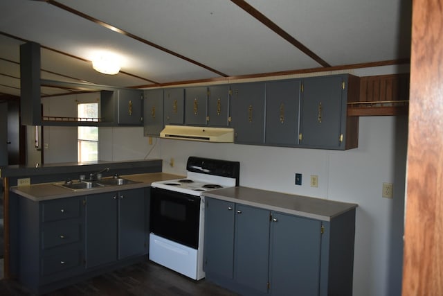 kitchen with white electric range oven, dark hardwood / wood-style flooring, blue cabinets, and sink