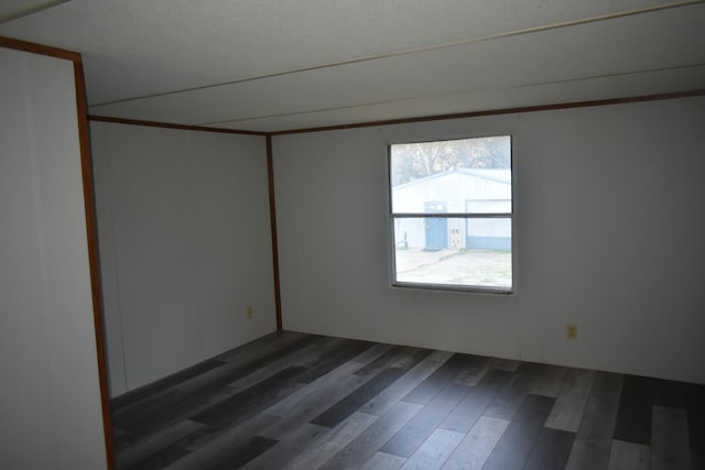 empty room featuring dark wood-type flooring