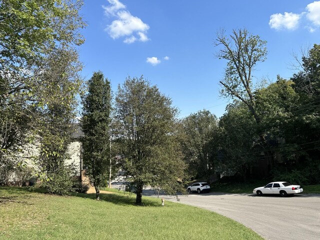 224 Walking Horse Hl, Nashville, TN 37211 - photo 5
