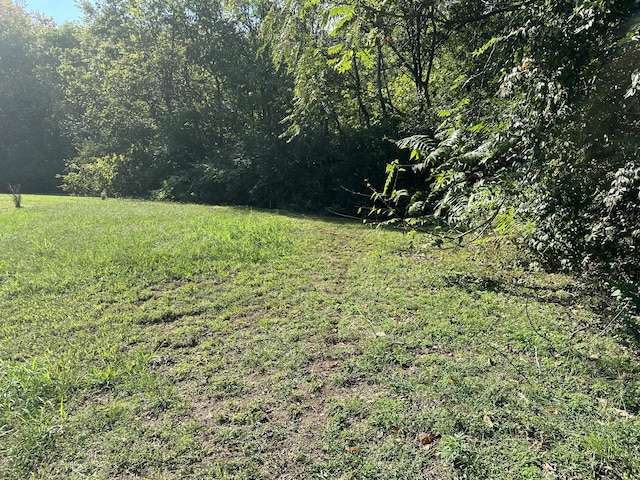 224 Walking Horse Hl, Nashville, TN 37211 - photo 4
