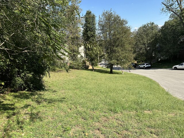 224 Walking Horse Hl, Nashville, TN 37211 - photo 3