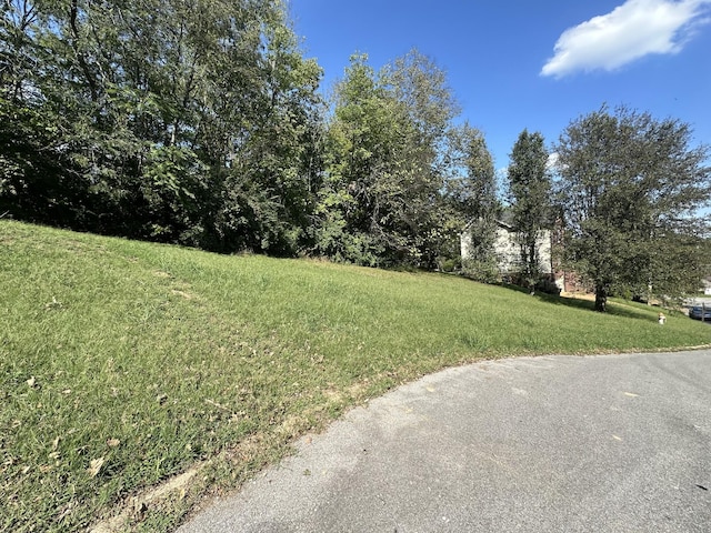 224 Walking Horse Hl, Nashville, TN 37211 - photo 2